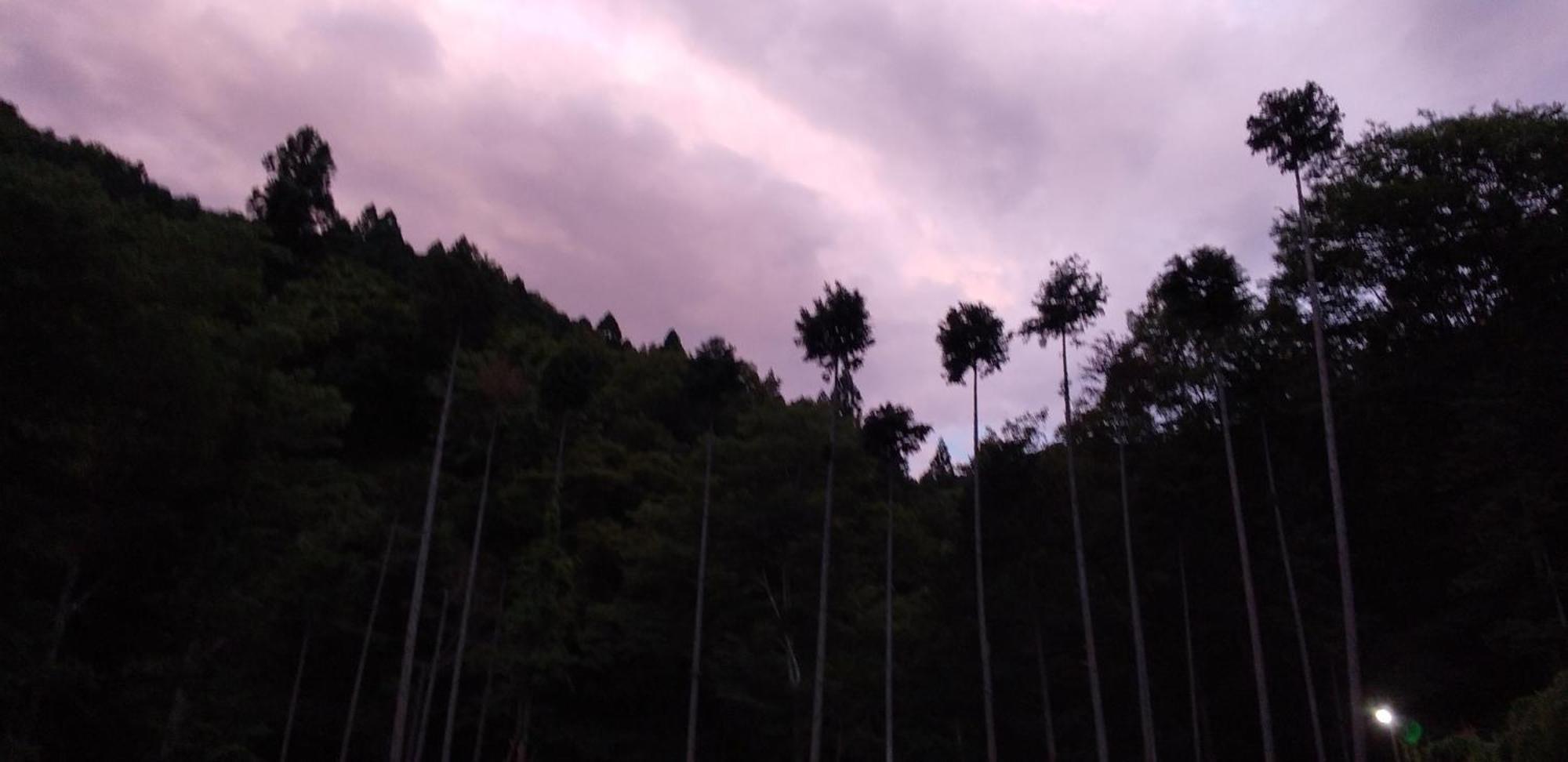 Kohagino - Vacation Stay 12342 Uenohara ภายนอก รูปภาพ